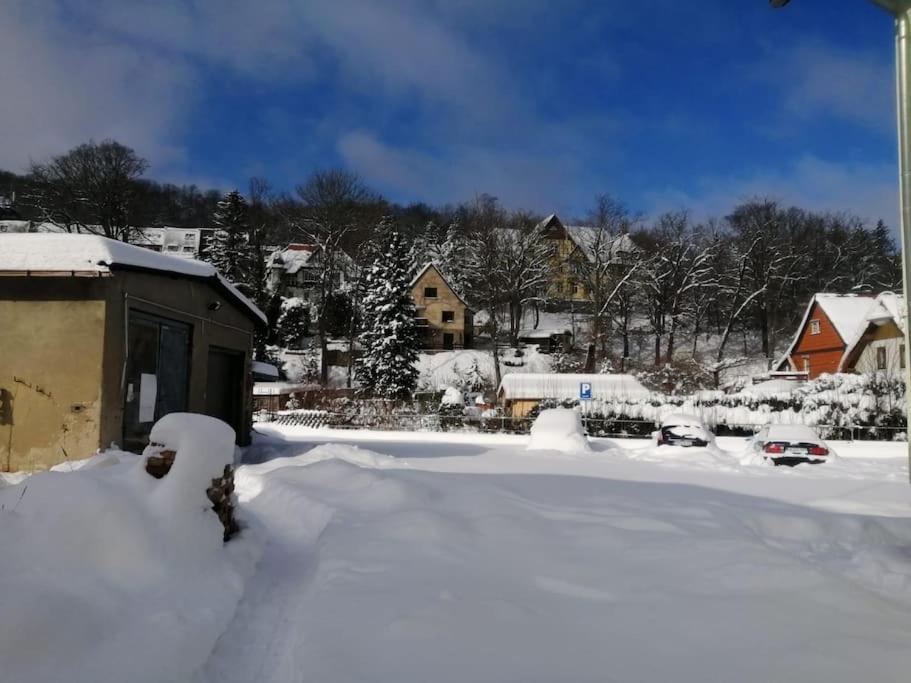 Guenstige, Schoene Ferienwohnung Im Wanderparadies Wernigerode Ngoại thất bức ảnh