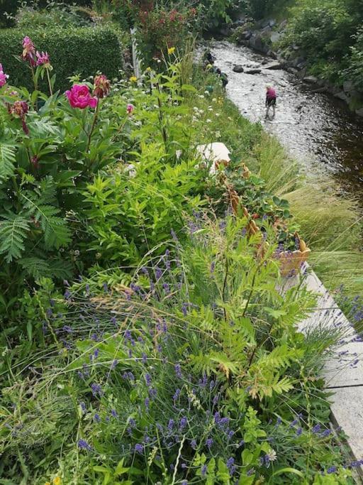 Guenstige, Schoene Ferienwohnung Im Wanderparadies Wernigerode Ngoại thất bức ảnh